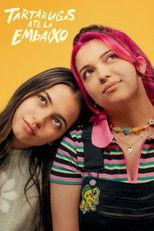 Turtles All the Way Down