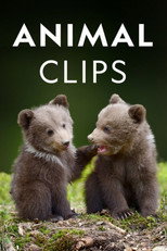 Animal Clips poster