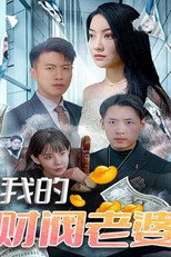 我的财阀老婆 poster