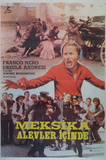 Meksika Alevler İçinde