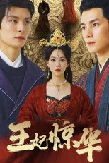 王妃惊华 poster