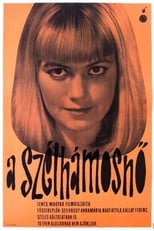 Poster for Miss Windbag