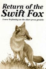 Poster for Return of the Swift Fox 