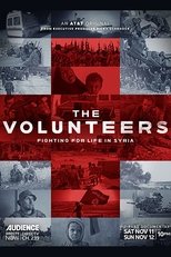 Poster for The Volunteers