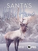 Poster for Santa's Wild Home 