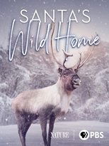 Poster for Santa's Wild Home