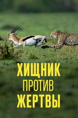 Хищник против жертвы