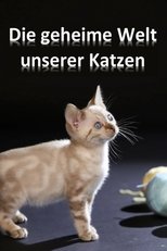 Die geheime Welt unserer Katzen