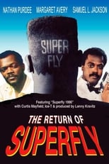 The Return of Superfly (1990)