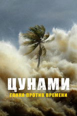 Цунами: наперегонки со временем