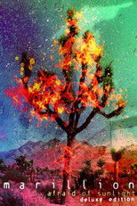 Marillion: Afraid of Sunlight poster