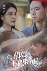相思不似相识 poster