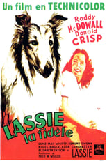 Fidèle Lassie serie streaming