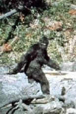 Patterson–Gimlin film