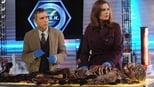 Imagen Bones 7x12