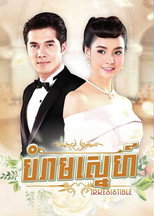 Prohibition of love poster
