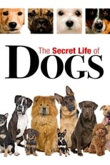 Poster for Secret Life of Dogs