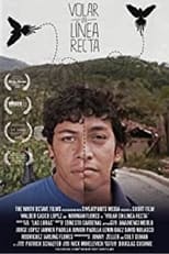 To Fly in a Straight Line poster