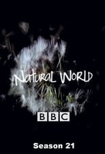 Poster for Natural World Season 21