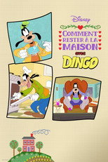 Comment rester &agrave; la maison avec Dingo