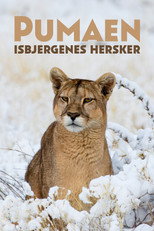 Pumaen - Isbjergenes hersker