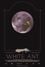 Poster for White Ant