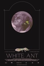 White Ant main poster