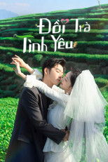 Đồi Trà Tình Yêu