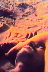 The Wave