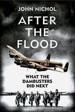 Poster for What the Dambusters Did Next