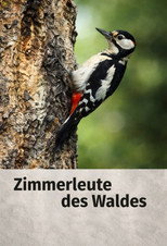 Woodpecker poster