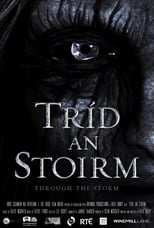 Poster for Through the Storm