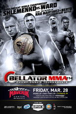 Bellator 114 poster