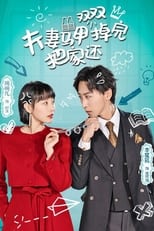 夫妻马甲双双掉完把家还 poster