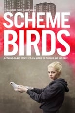 Poster for Scheme Birds