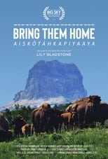 Poster for Bring Them Home 