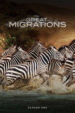 Miniseries