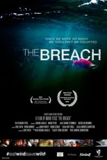 The Breach (2014)