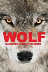 Poster for Wolf: Wanderer Without Borders