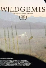 Wildgemis