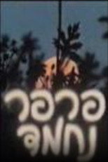 פרפר נחמד poster