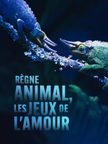 Règne animal, les jeux de l'amour poster