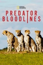 Poster for Predator Bloodlines