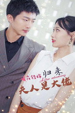 一夜错嫁归来夫人是大佬 poster