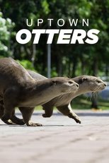 Poster for Uptown Otters