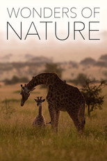 Wonders of Nature poster
