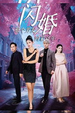 闪婚租个男友回家过年 poster