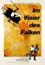 Im Visier des Falken