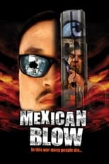 Poster for Mexican Blow