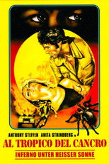 Inferno unter heißer Sonne